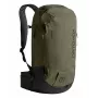 Ortovox Free Rider 22 Rucksack - Dark Wild Herbs