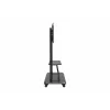 CELEXON Professional Adjust-55120MP Mobiler Display-Ständer für 55-120 inch Bildschirme, Matt Schwarz