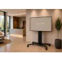 celexon Expert Adjust-4286MB Mobiler Display-Wagen für 42 inch-86 inch Bildschirme, eloxiertes Aluminium, Schwarz (RAL 9005)