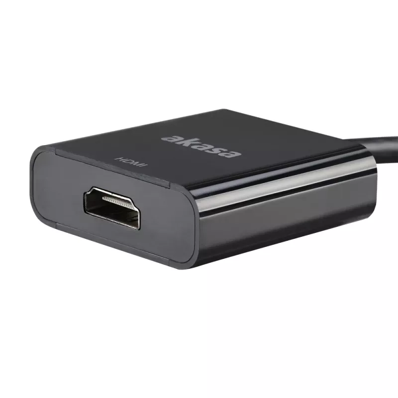 Akasa Mini DisplayPort Male to HDMI Female Video Adapter - 4K@30Hz, Schwarz