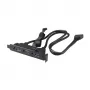 Akasa USB 3.1 Gen 2 Internes Adapterkabel mit zwei USB 3.0 Typ-A Anschlüssen - 50 cm - Schwarz