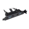 Akasa USB 3.1 Gen 2 Internes Adapterkabel mit zwei USB 3.0 Typ-A Anschlüssen - 50 cm - Schwarz