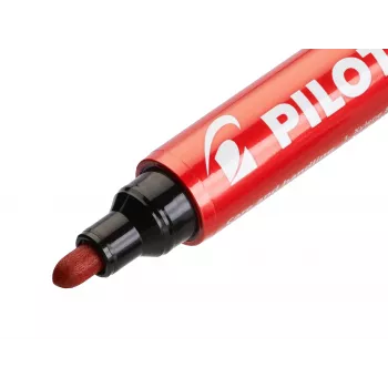 Pilot Pen 100 Permanent Marker Grün 1,0 mm