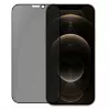 Evelatus Apple iPhone 12/12 Pro 6,1 inch Privacy 2.5D Silk Full Cover Japan Glue Anti-Static Screen Protector