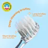 BRUSH BABY Wild Ones Schallzahnbürste für Kinder 0-10 Jahre Tiger