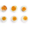 FRITEL Family Egg Cooker 400W Schwarz/Transparent