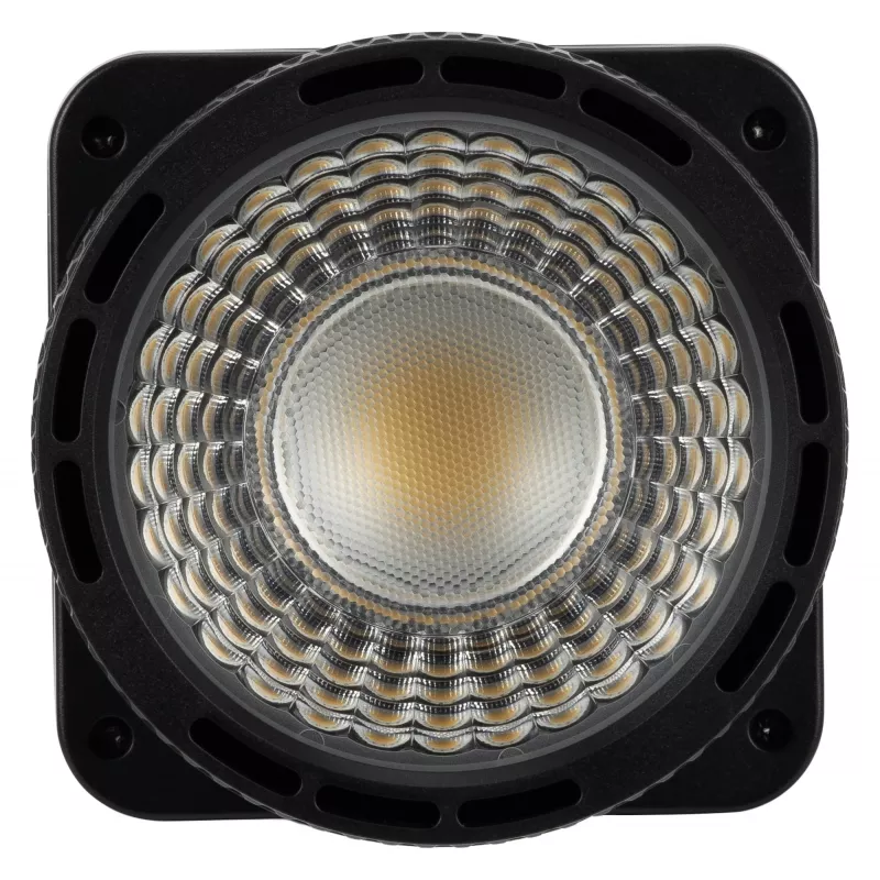 Newell Mini Bowens Barn Doors and Focusing Lens Kit für Tara LED Lampe