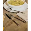 Alessi Clivo 24-teiliges Besteckset, Silber, spiegelpoliert 18/10 Edelstahl
