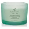 Chesapeake Bay Candle Balance & Harmony Große Duftkerze 3 Dochte 312 g