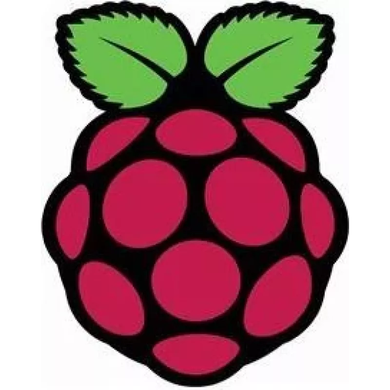 Raspberry Pi Pi - LCD-Monitor - 39,6 cm (15,6 Zoll) - 1920 x 1080 Full HD (1080p)