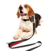 MOZOS DL5M Premium Training Leash 5m Black