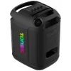 Tonsil Party Dance 800 Tragbarer Bluetooth-Partylautsprecher mit Karaoke, Disco-LED, 80 W RMS, 2x8 inch-Tieftönern, Schwarz