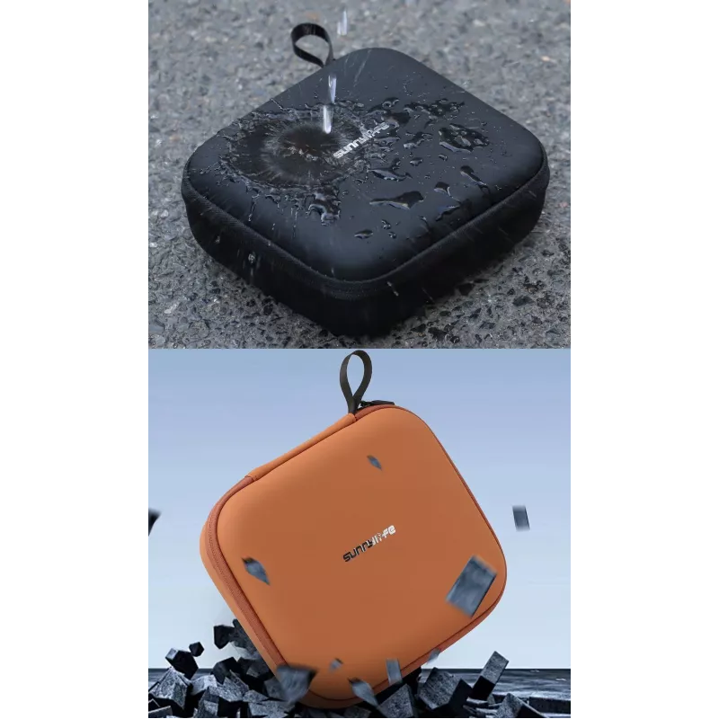 SUNNYLIFE Hard Shell Carrying Case für DJI Flip Drohne - Schwarz (FP-B957-D)