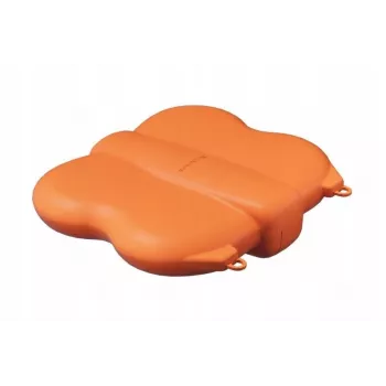 SUNNYLIFE Hartschalen-Schutzkoffer für DJI Neo 2 Drohne - Orange
