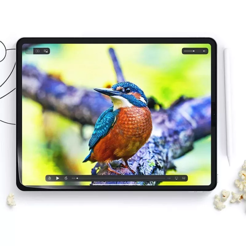 HOFI Paper Pro+ Displayschutzfolie für Apple iPad Air 11 Gen 6 (M2, 2024) - 2er-Pack, matt, papierähnlich