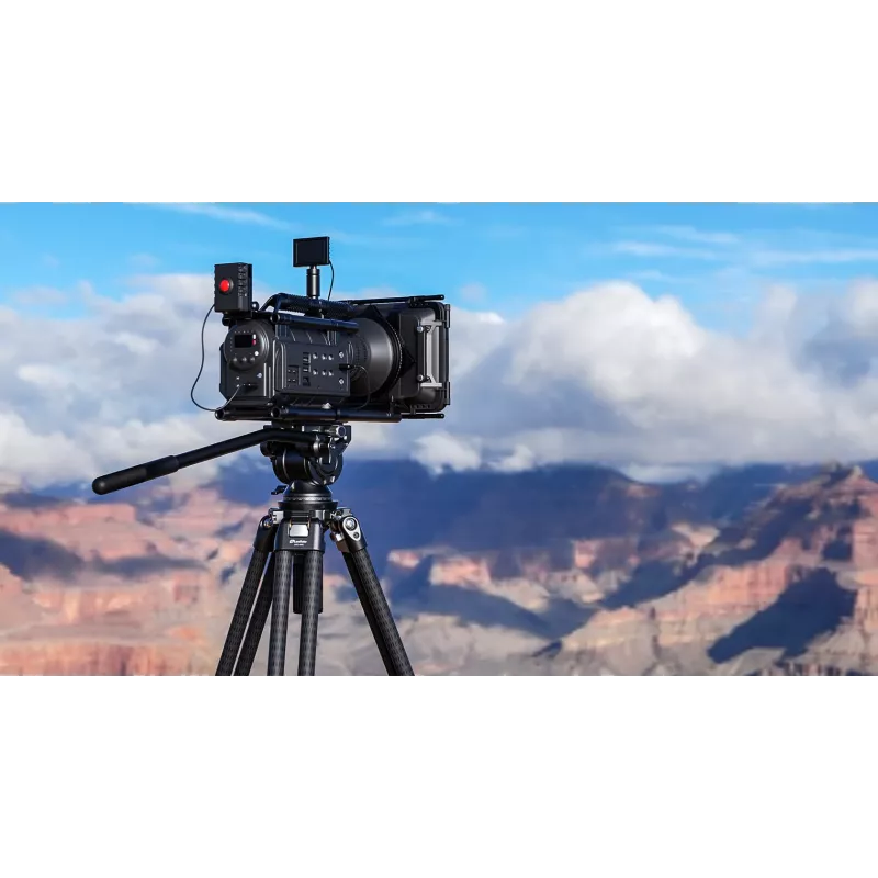 Leofoto King Kong LVC-193C+BV-15 Carbon Fiber Video Tripod Kit