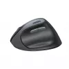 UGREEN Wireless Optical Mouse - Schwarz