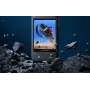 Insta360 X3 Displayschutzfolie