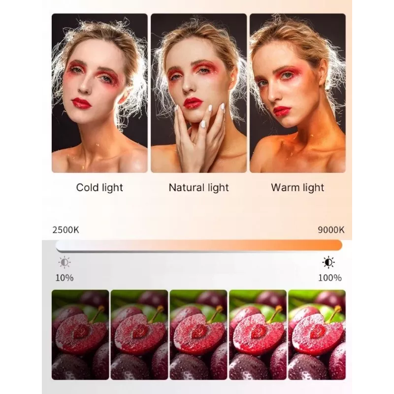 ULANZI PL-01 RGB LED Videoleuchte 150 Dioden 4000mAh mit Magnetbefestigung und Wabengitter