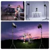 Ulanzi TT43II Mini Stativ / Lichtstativ - 43 cm, 2 kg Belastung, Schwarz