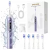 Dreame E10F Schallzahnbürste, Set, violett
