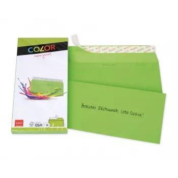 ELCO Color Briefumschlag C5/6 (114 x 229 mm), ohne Fenster, haftklebend, 100 g/m², Intensivgrün, 25 Stück (74617.62)