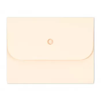 ELCO Ordo Forte Organisationsmappe A4, 320 x 245 mm, 320 g/m², Hellchamois, 25 Stück (29494.41)