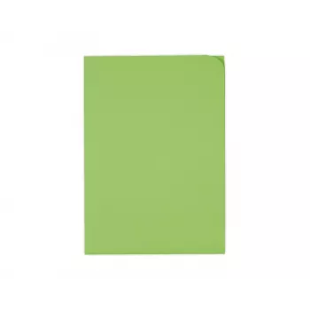 ELCO Ordo Discreta Organisationsmappe A4, 220 x 310 mm, 120 g/m², Intensivgrün, 100 Stück (29466.62)
