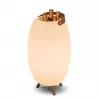 New Garden APOLO 70 wiederaufladbare Lampe