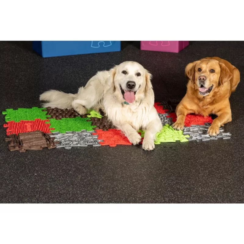 Muffik Orthopädisches Sensorik-Matten-Set 8-in-1 für Hunde MFK-069
