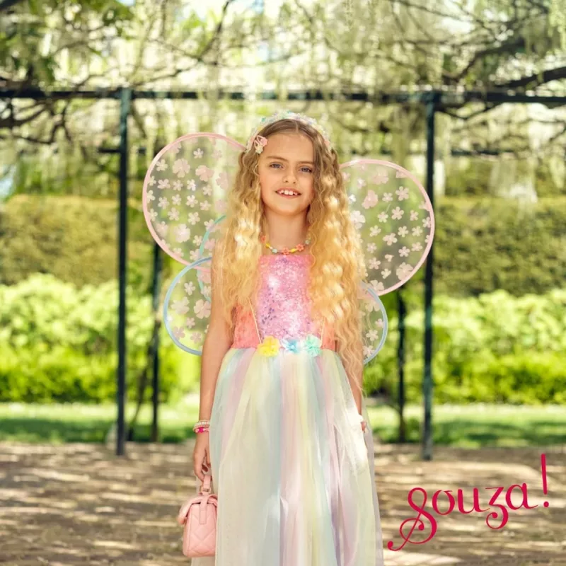 Souza! Flora Feen-Schmetterlings-Kostüm Kleid mit Flügeln 3-4 Jahre