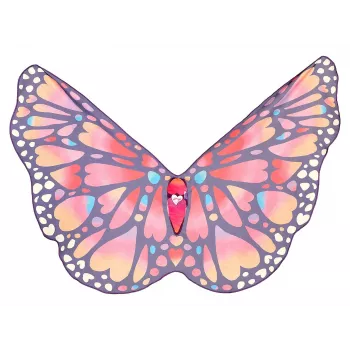 Souza! Butterfly Wings Papillon Kostümflügel für Kinder