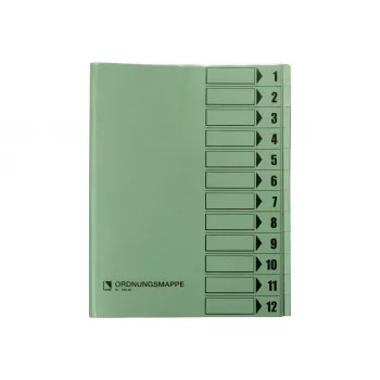 Bene Organizer Folder 12 Fächer Grün A4