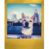 Polaroid Go / Go Gen 2 Instantfilm - 16 Aufnahmen - Goldrahmen
