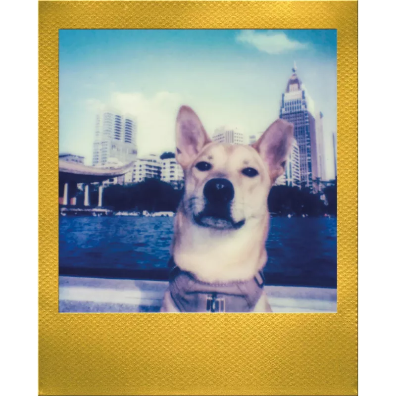 Polaroid Go / Go Gen 2 Instantfilm - 16 Aufnahmen - Goldrahmen