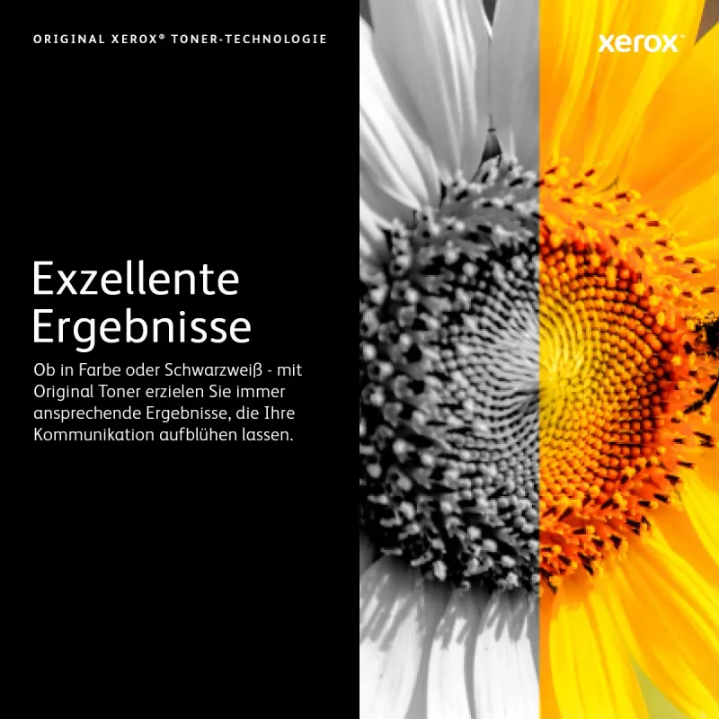 Xerox Phaser 7100 Yellow Original Toner Cartridge