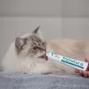 VETEXPERT TrichoCat Anti-Hairball Paste für Katzen 120 g