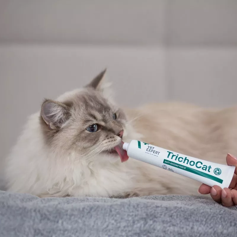 VETEXPERT TrichoCat Anti-Hairball Paste für Katzen 120 g