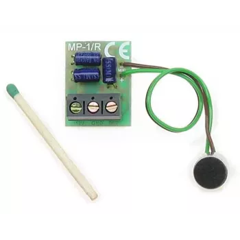 DELTA MP-1/R Audio Preamplifier Module mit Klangregelung