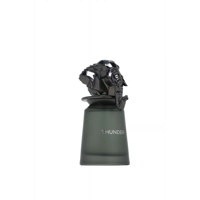 FRENCH AVENUE Thunder Eau de Parfum Spray 100ml