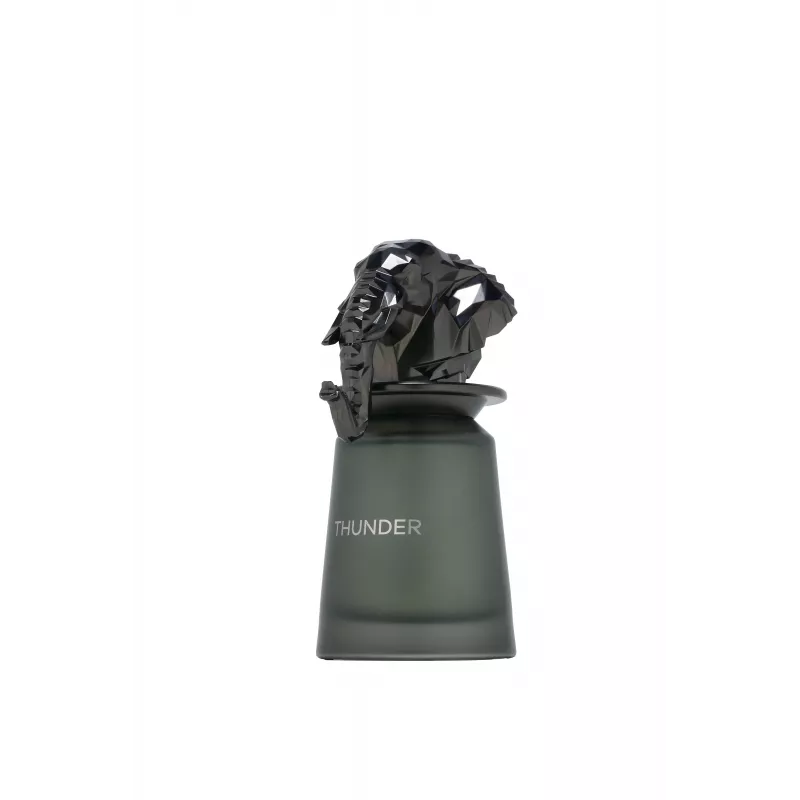 FRENCH AVENUE Thunder Eau de Parfum Spray 100ml