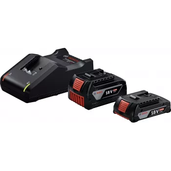 Starter-Set 18V (GBA 18V 4.0/2.0Ah + GAL 18V-40 Professional) (Schwarz, 2x Li-Ion Akku, AMPShare Alliance)
