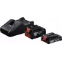 Starter-Set 18V (GBA 18V 4.0/2.0Ah + GAL 18V-40 Professional) (Schwarz, 2x Li-Ion Akku, AMPShare Alliance)