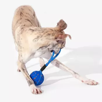Cheerble Wicked Ball Air Rope Hundespielzeug, Royal Blue