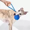 Cheerble Wicked Ball Air Rope Hundespielzeug, Royal Blue