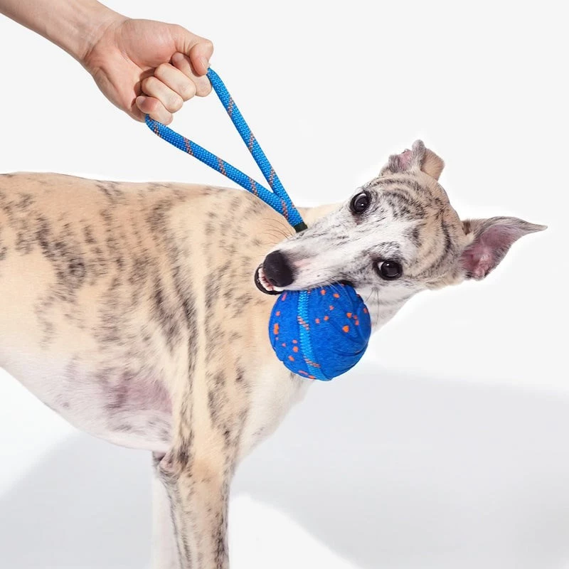 Cheerble Wicked Ball Air Rope Hundespielzeug, Royal Blue