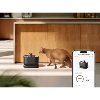 Petlibro Dockstream App-Wasserbrunnen, schwarz