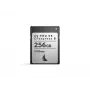 Angelbird AV PRO SE CFexpress Typ B 256GB Speicherkarte