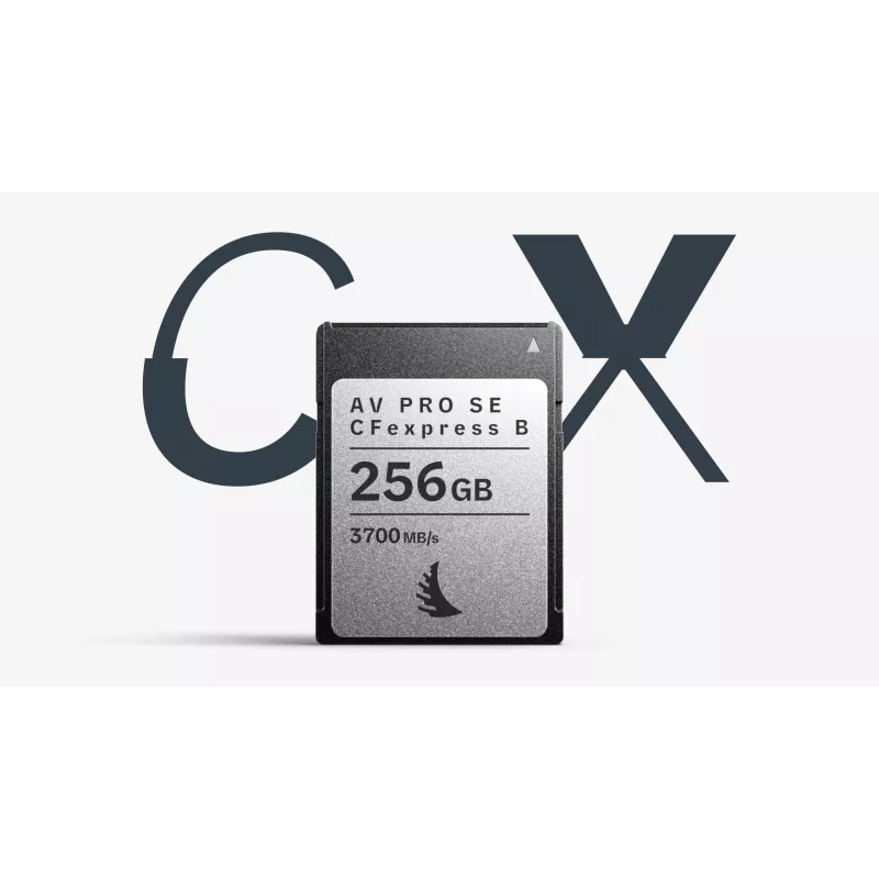 Angelbird AV PRO SE CFexpress Typ B 256GB Speicherkarte