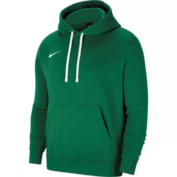 Nike Team Club 20 Herren-Hoodie Pine Green/Weiß